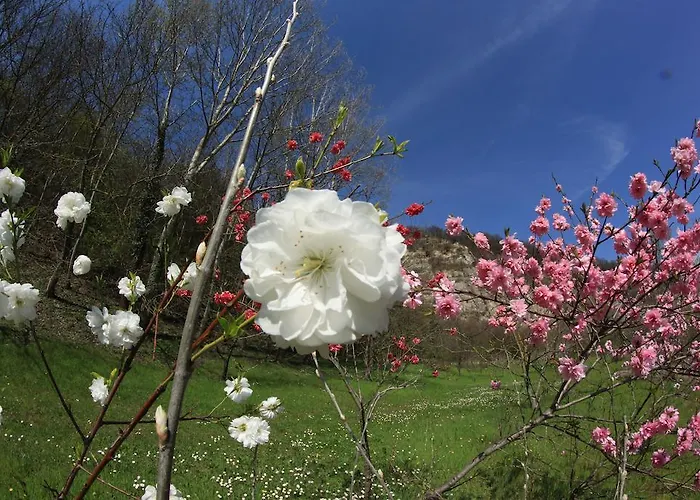 مزرعة للإقامة Chiesa Ignano 1778