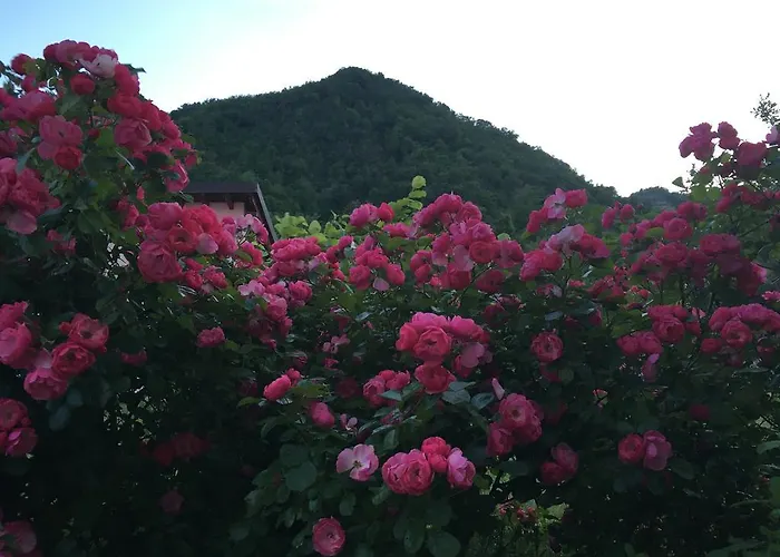 Chiesa Ignano 1778 مزرعة للإقامة