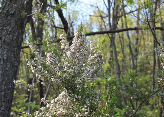 مزرعة للإقامة Chiesa Ignano 1778 مارزابوتو