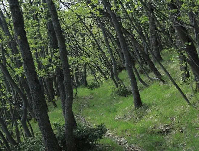 مزرعة للإقامة Chiesa Ignano 1778