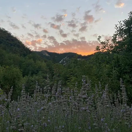 Chiesa Ignano 1778 팜스테이 마르차보토