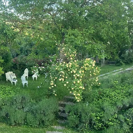 Chiesa Ignano 1778 팜스테이 *