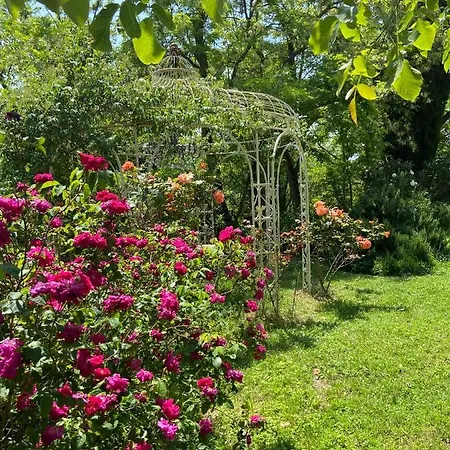 Chiesa Ignano 1778 * 마르차보토