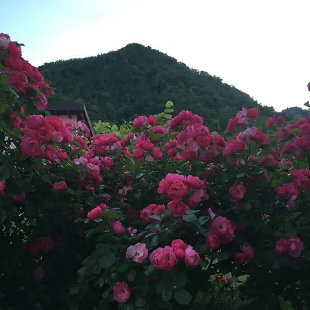 Chiesa Ignano 1778 팜스테이