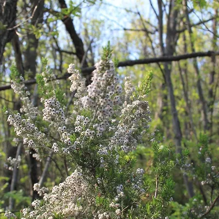 팜스테이 Chiesa Ignano 1778 마르차보토