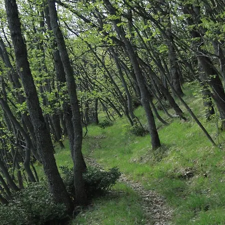 Vakantieboerderij Chiesa Ignano 1778