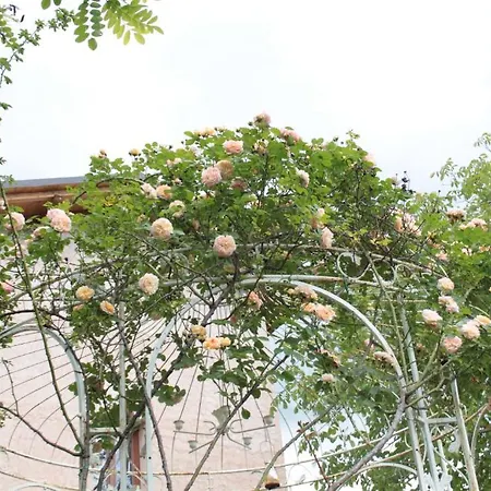 팜스테이 Chiesa Ignano 1778 마르차보토