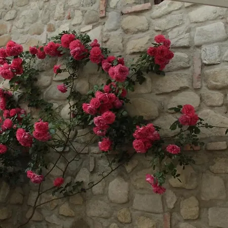 Chiesa Ignano 1778 *