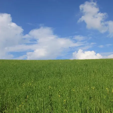 Chiesa Ignano 1778 팜스테이 *