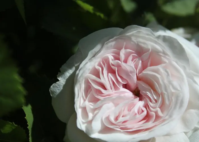 Chiesa Ignano 1778 * Marzabotto