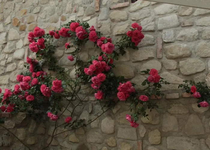 Chiesa Ignano 1778 *