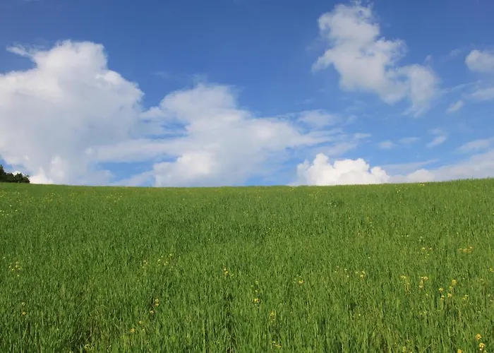 Chiesa Ignano 1778 Lantgård *